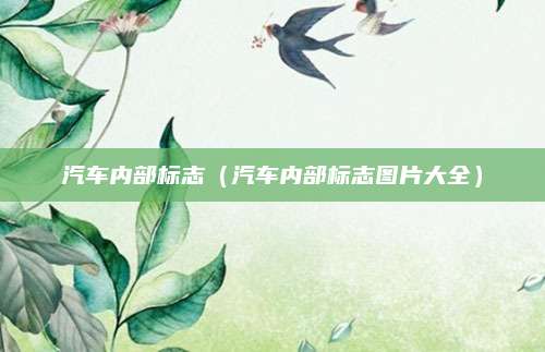 汽车内部标志(汽车内部标志图片大全)