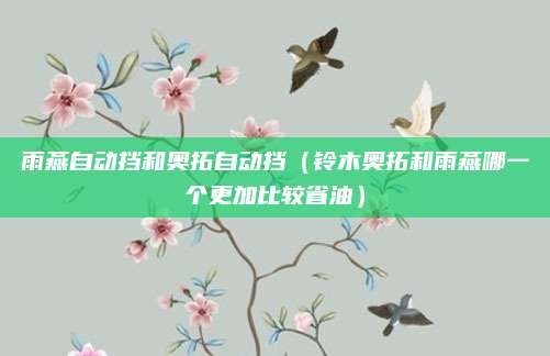 雨燕自动挡和奥拓自动挡(铃木奥拓和雨燕哪一个更加比较省油)