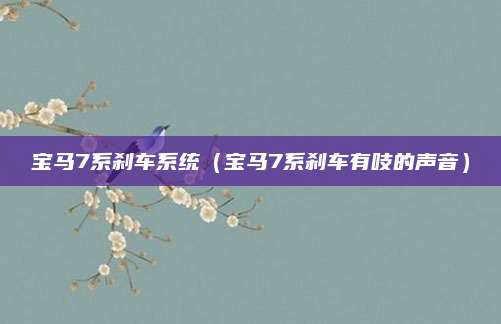 宝马7系刹车系统(宝马7系刹车有吱的声音)