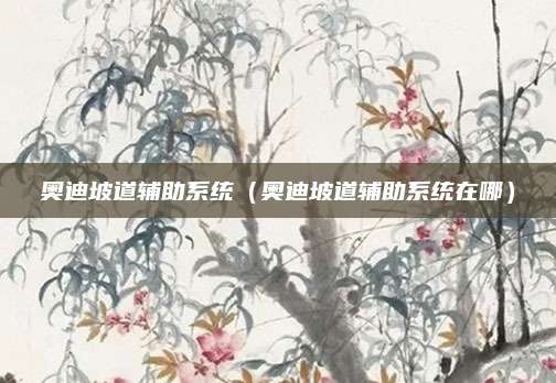 奥迪坡道辅助系统(奥迪坡道辅助系统在哪)
