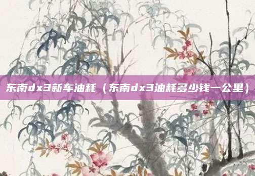 东南dx3新车油耗(东南dx3油耗多少钱一公里)