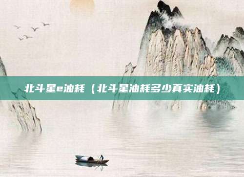 北斗星e油耗(北斗星油耗多少真实油耗)