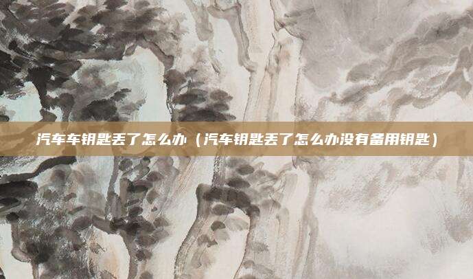 汽车车钥匙丢了怎么办(汽车钥匙丢了怎么办没有备用钥匙)