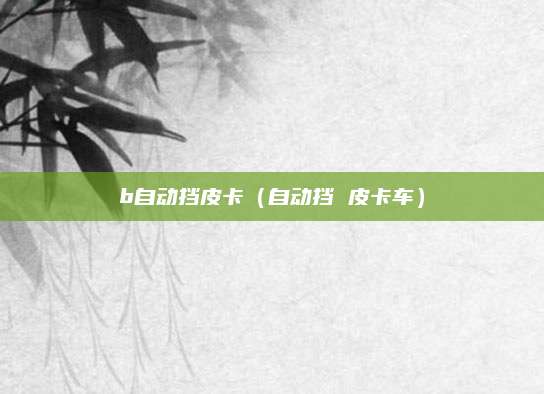 b自动挡皮卡（自动挡 皮卡车）