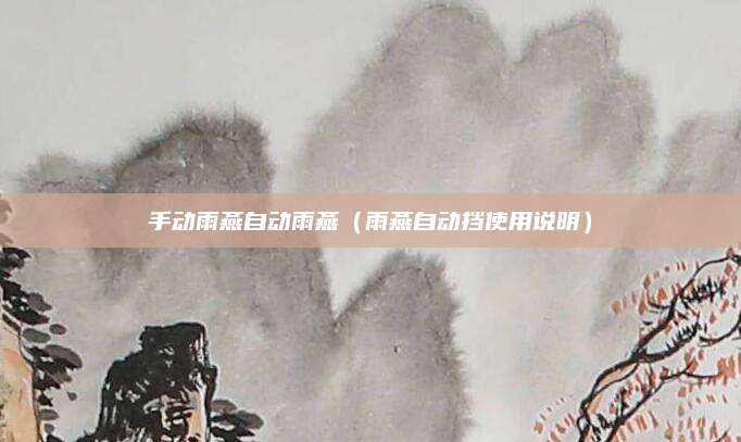 手动雨燕自动雨燕(雨燕自动挡使用说明)