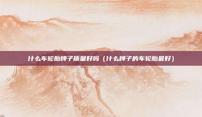 什么车轮胎牌子质量好吗(什么牌子的车轮胎最好)
