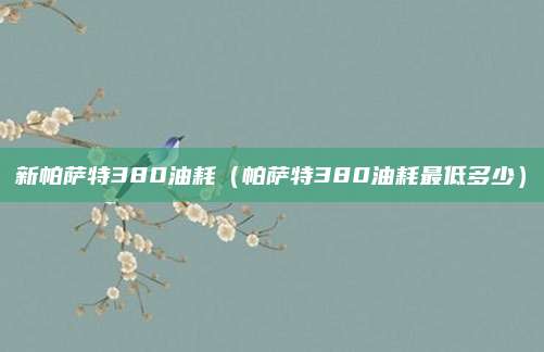 新帕萨特380油耗(帕萨特380油耗最低多少)