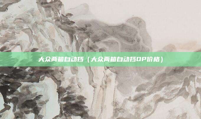 大众两箱自动挡(大众两箱自动挡OP价格)