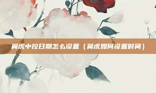 翼虎中控日期怎么设置(翼虎如何设置时间)