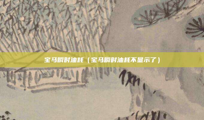 宝马瞬时油耗(宝马瞬时油耗不显示了)