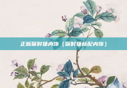 正版保时捷内饰(保时捷标配内饰)