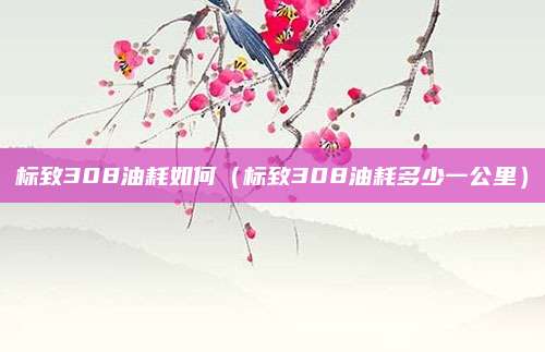 标致308油耗如何(标致308油耗多少一公里)