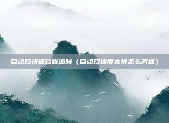 自动挡快速挡省油吗(自动挡速度太快怎么减速)