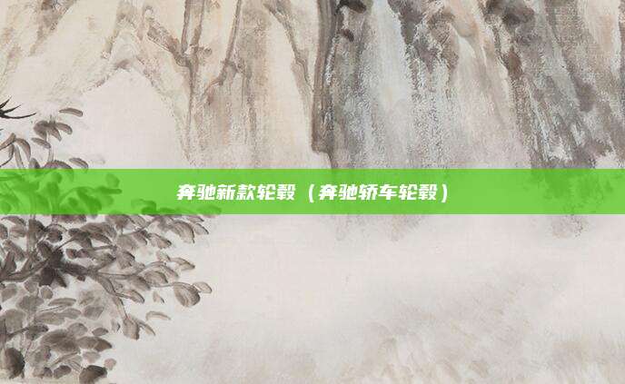 奔驰新款轮毂(奔驰轿车轮毂)
