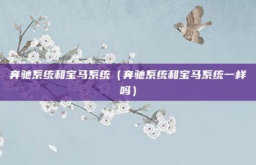 奔驰系统和宝马系统(奔驰系统和宝马系统一样吗)