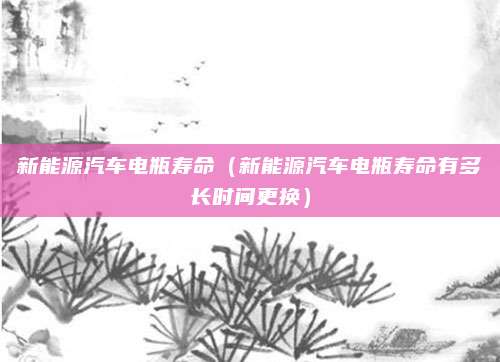 新能源汽车电瓶寿命(新能源汽车电瓶寿命有多长时间更换)
