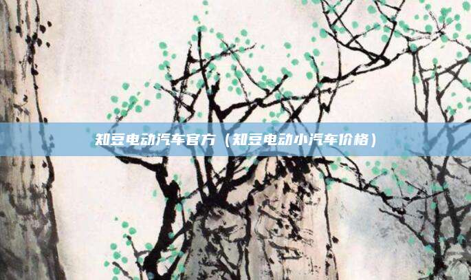 知豆电动汽车官方(知豆电动小汽车价格)