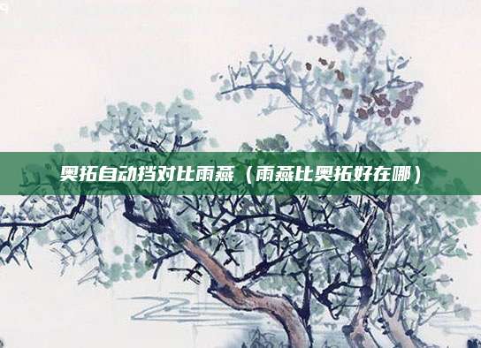奥拓自动挡对比雨燕(雨燕比奥拓好在哪)