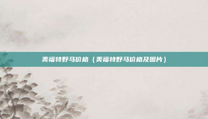 美福特野马价格(美福特野马价格及图片)