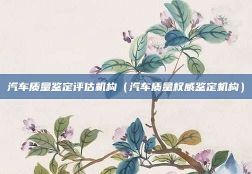 汽车质量鉴定评估机构(汽车质量权威鉴定机构)