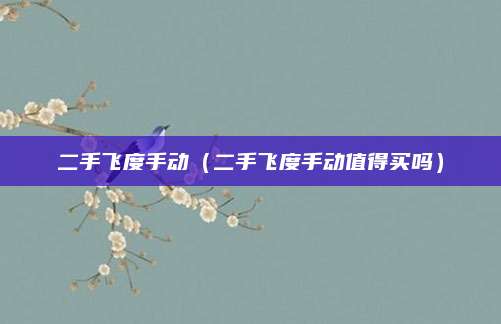 二手飞度手动(二手飞度手动值得买吗)