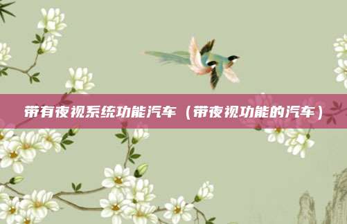 带有夜视系统功能汽车（带夜视功能的汽车）