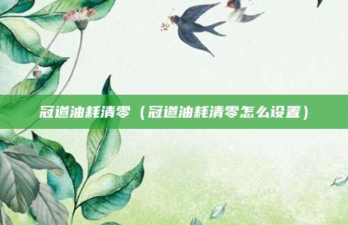 冠道油耗清零(冠道油耗清零怎么设置)