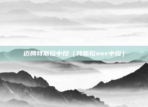 迈腾特斯拉中控(特斯拉suv中控)