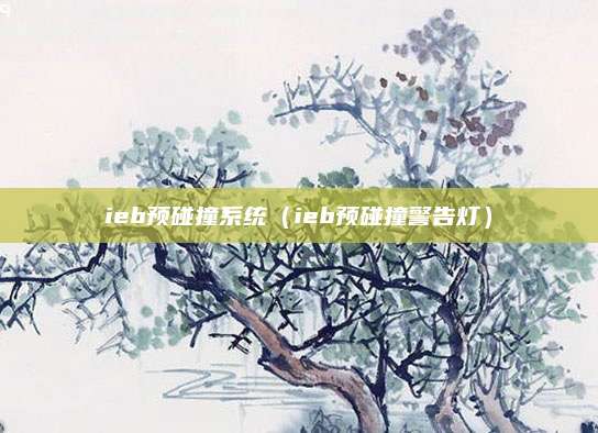 ieb预碰撞系统(ieb预碰撞警告灯)