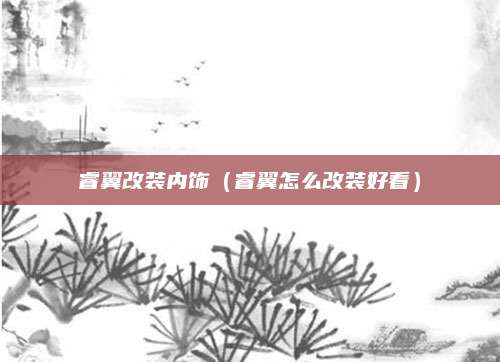 睿翼改装内饰(睿翼怎么改装好看)