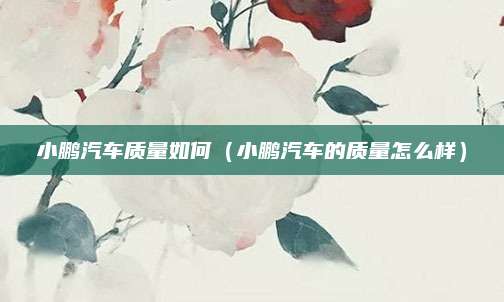 小鹏汽车质量如何(小鹏汽车的质量怎么样)