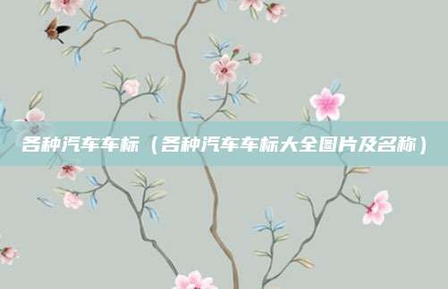 各种汽车车标(各种汽车车标大全图片及名称)