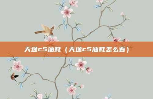 天逸c5油耗(天逸c5油耗怎么看)
