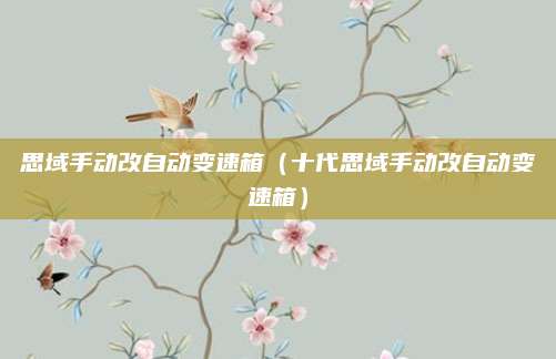 思域手动改自动变速箱(十代思域手动改自动变速箱)