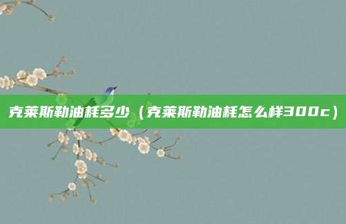 克莱斯勒油耗多少(克莱斯勒油耗怎么样300c)
