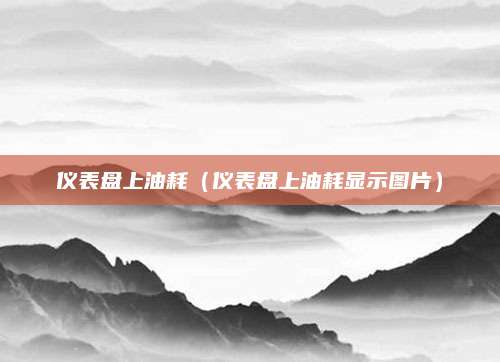 仪表盘上油耗(仪表盘上油耗显示图片)