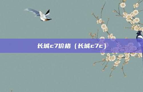 长城c7价格(长城c7c)