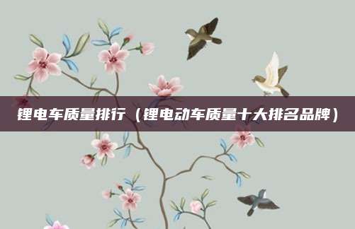 锂电车质量排行(锂电动车质量十大排名品牌)