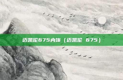 迈凯伦675内饰(迈凯伦 675)