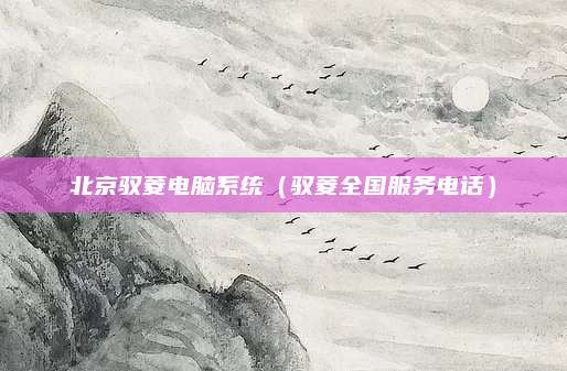 北京驭菱电脑系统(驭菱全国服务电话)
