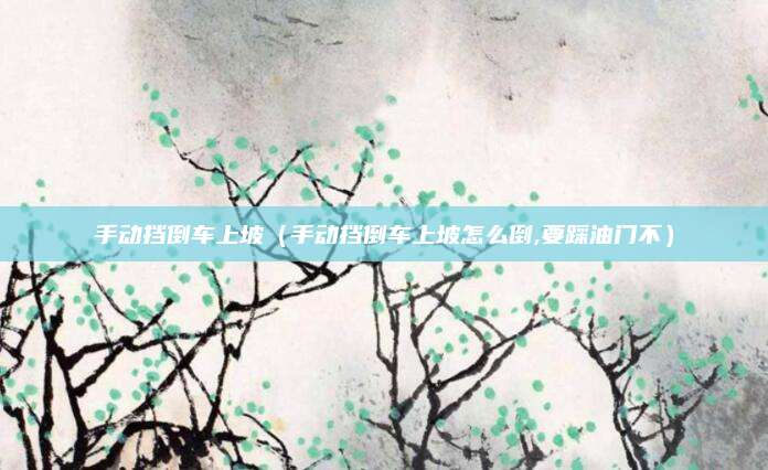 手动挡倒车上坡(手动挡倒车上坡怎么倒,要踩油门不)