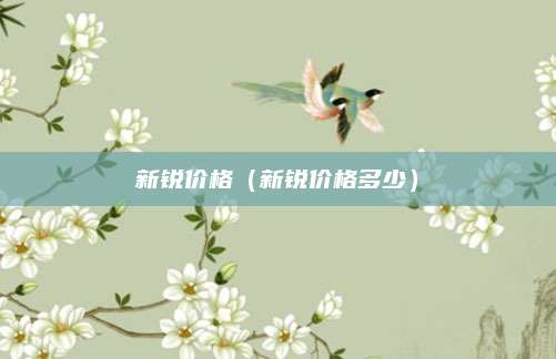 新锐价格(新锐价格多少)