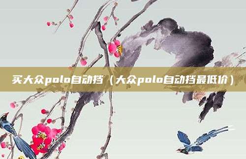 买大众polo自动挡(大众polo自动挡最低价)