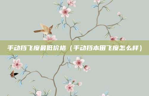 手动挡飞度最低价格(手动挡本田飞度怎么样)