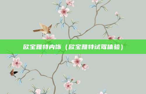 欧宝雅特内饰(欧宝雅特试驾体验)