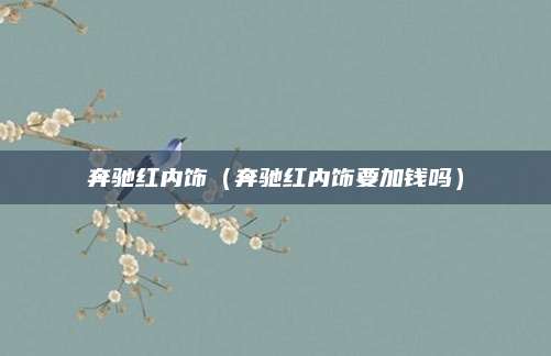 奔驰红内饰(奔驰红内饰要加钱吗)