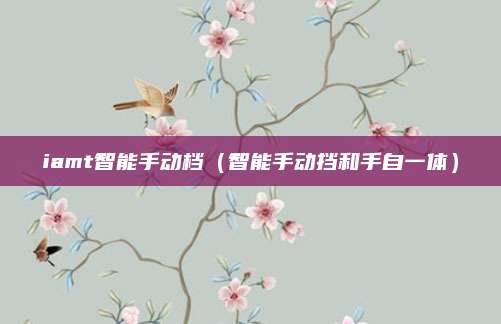 iamt智能手动档(智能手动挡和手自一体)