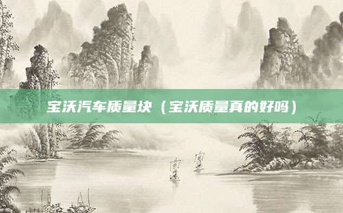 宝沃汽车质量块(宝沃质量真的好吗)