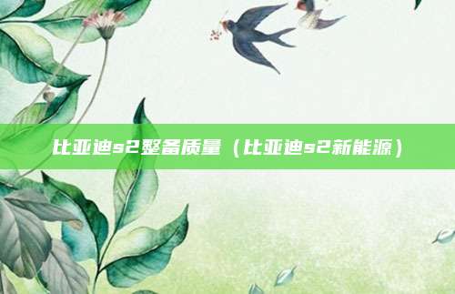 比亚迪s2整备质量(比亚迪s2新能源)