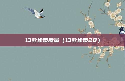 13款途观质量(13款途观20)